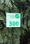 Активисты пронумеровали деревья в дубовой роще у Троицкого монастыря